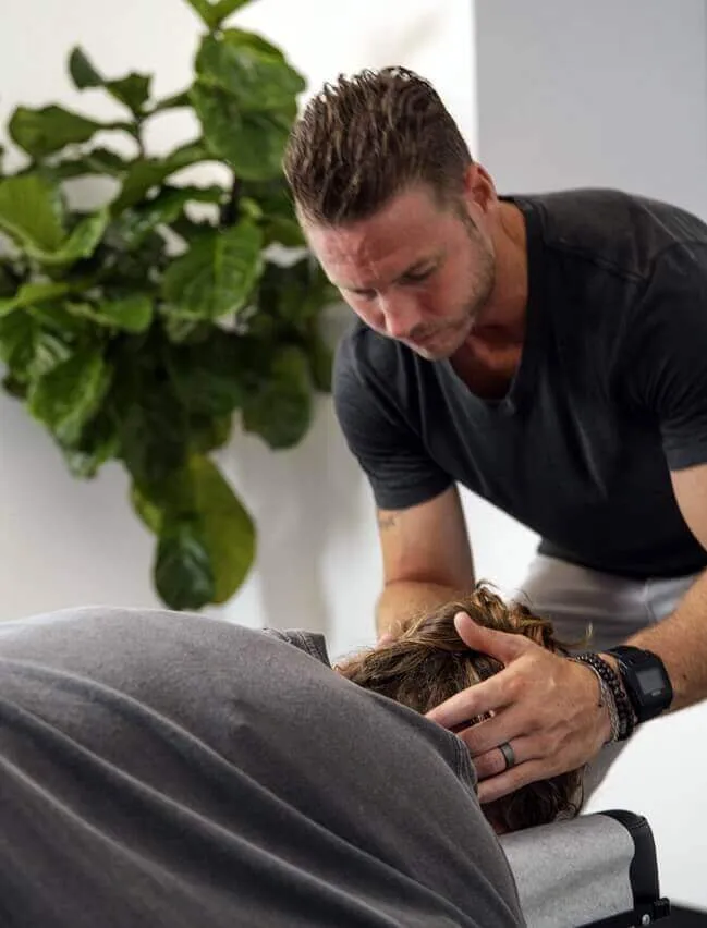 Nervous system-based chiropractic services illustration