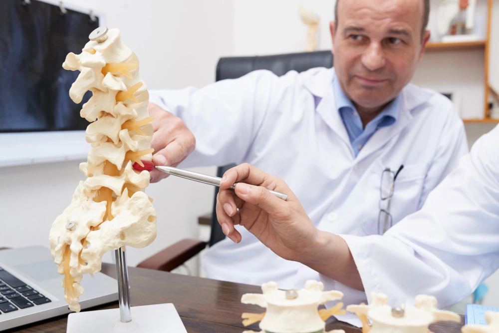 Chiropractor pointing at spine inflammation model in the medical office