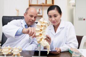 Chiropractors pointing at herniated bulging disc issues on a spine